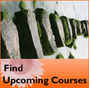 Find Upcoming Courses