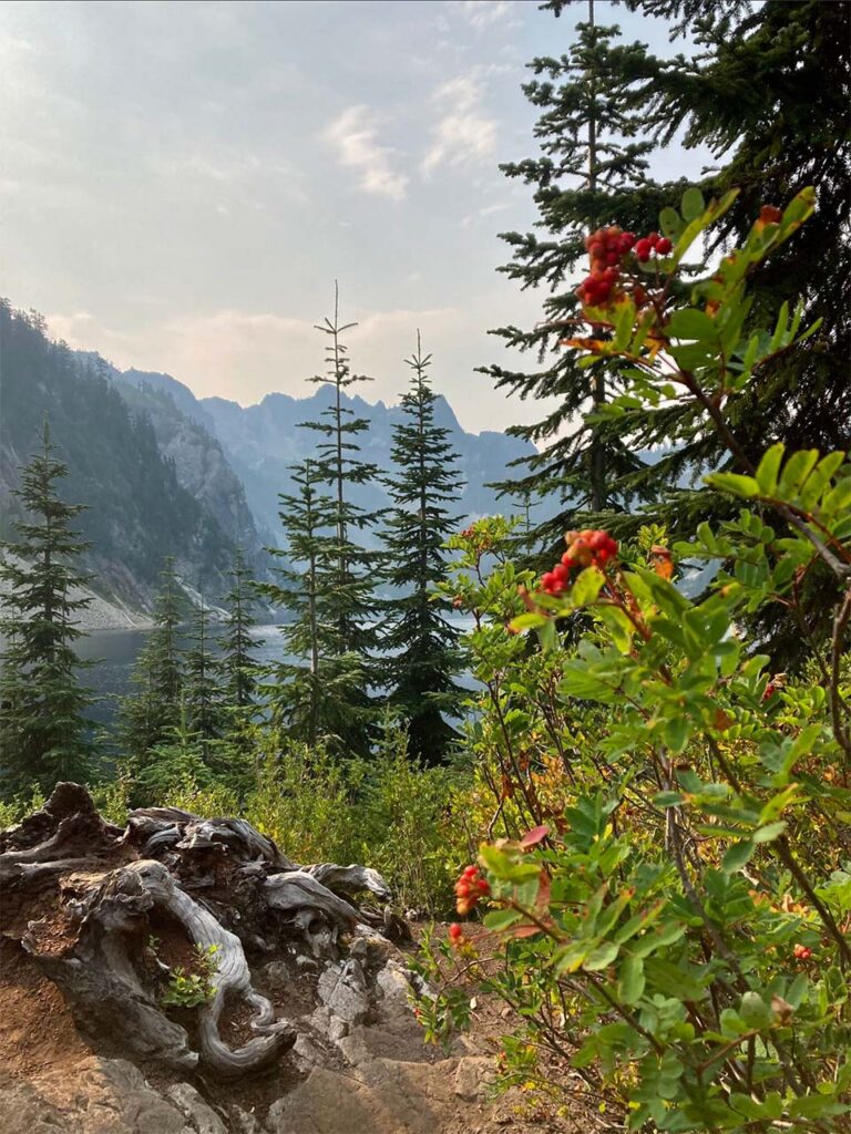 Mountain Landscape